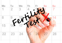 Ovulation Calendar And Fertility