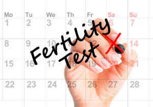 Fertility Calculator - Trying To Get Pregnant?