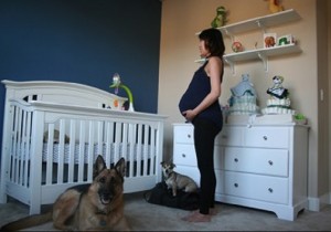 Time lapse video shows how life changes during pregnancy
