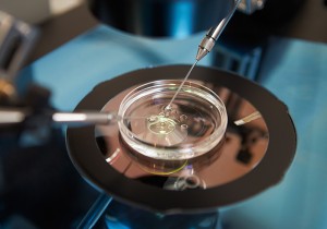 Victorian couple deemed unfit for IVF