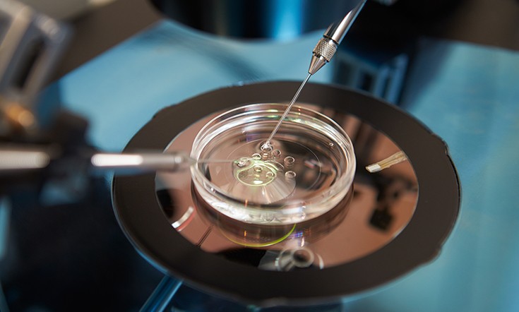 Victorian couple deemed unfit for IVF