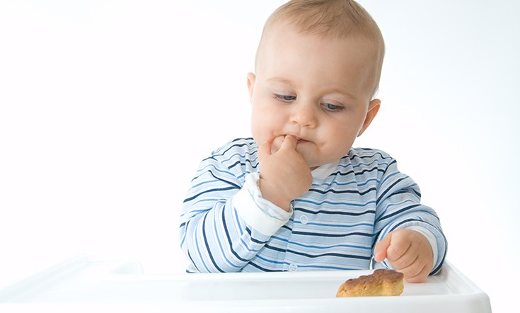 Baby Food Preparation – Avoid Unnecessary Sugar
