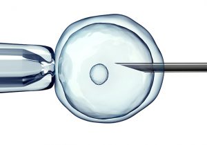 Victorian IVF Laws To Be Reviewed