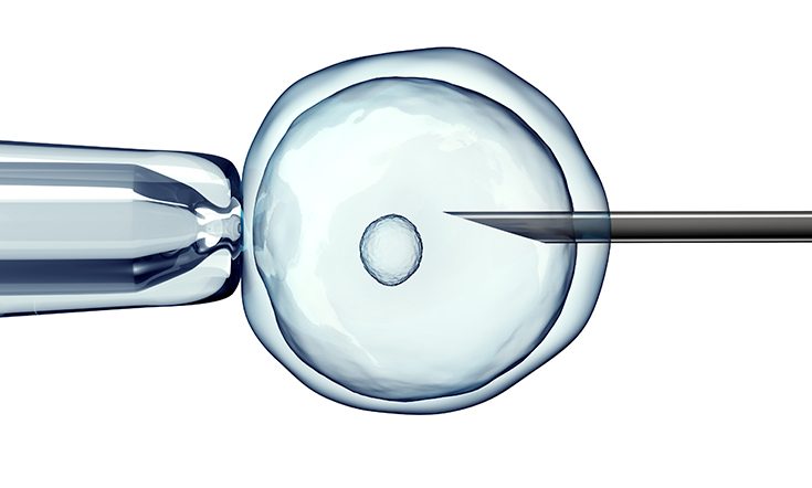 Victorian IVF Laws To Be Reviewed