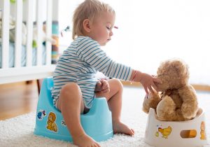 10 toddler toilet learning essentials