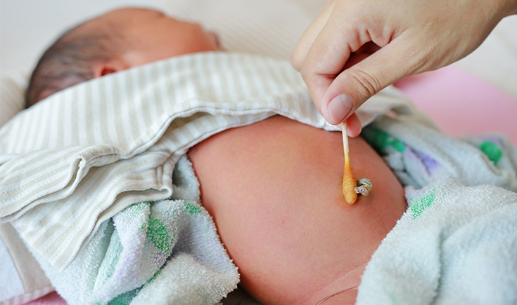 5 Interesting Facts about the Umbilical Cord